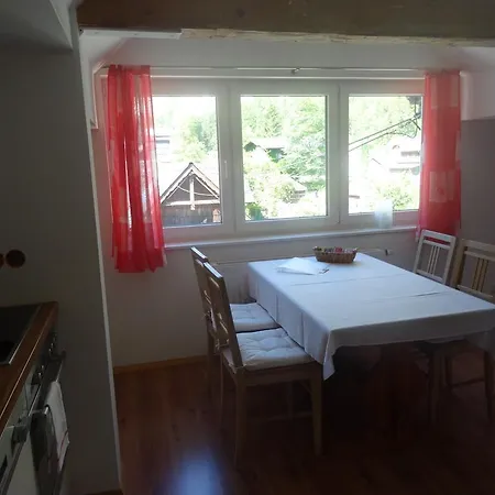 Apartment Haus Steinbrecher *