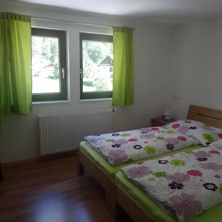 Apartment Haus Steinbrecher Hallstatt